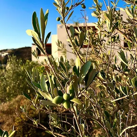 Apartamento Litois Patmos Sapsila