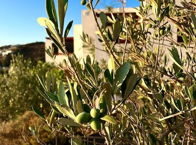 شقة Litois Patmos Sapsila